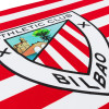 BANDERA OFICIAL MEDIANA