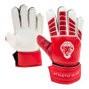 GANTS GARDIEN DE BUTS LION
