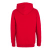 CL LION HOODIE