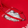 SUDADERA JR BIZI AMETSA FINAL COPA