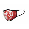 LION MASK JUNIOR- 30 USES