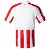 CAMISETA JUNIOR 1ª EQUIPACIÓN 2017/18