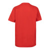 CAMISETA JR. LION