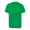 JUNIOR SHORT SLEEVE SHIRT FLAG