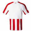 CAMISETA 1ª EQUIPACIÓN 2017/18