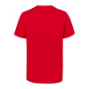 JUNIOR SHORT SLEEVE SHIRT FLAG