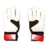 JUNIOR DISPATCH GK GLOVES 2019/20