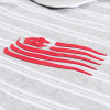 POLO MANGA CORTA CON RAYAS BANDERA
