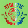 MAILLOT JUNIOR MANCHES COURTES LION DÉGRADÉ