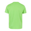 JUNIOR SHORT SLEEVE SHIRT GRADATED LION
