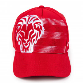 CHILD’S EMBROIDERED LION CAP