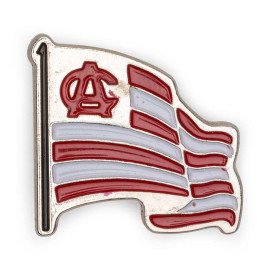 AC FLAG PIN