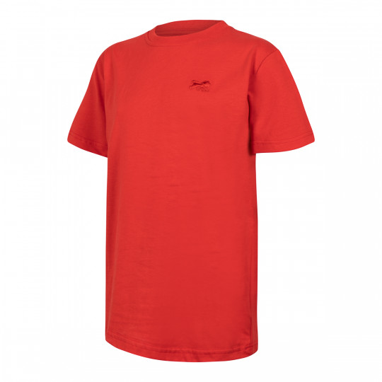 CAMISETA JR. LION
