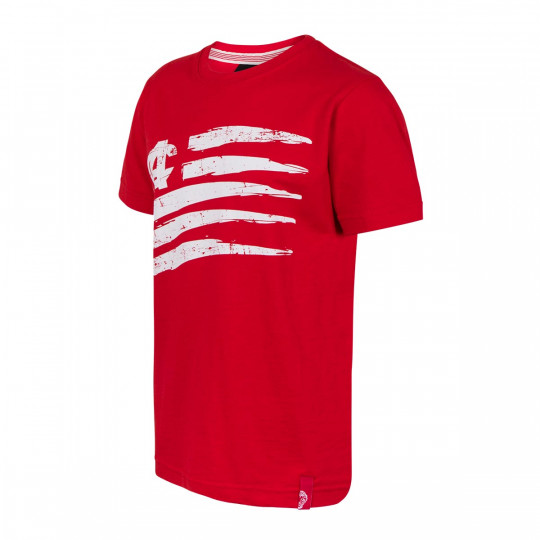 JUNIOR SHORT SLEEVE SHIRT FLAG